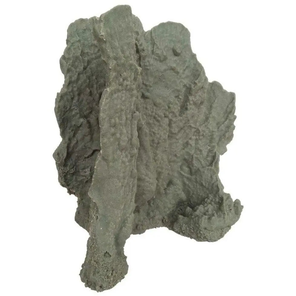 Weco South Pacific Coral Blueridge Ornament in Elegant Grey - Ideal Saltwater Reef Decor