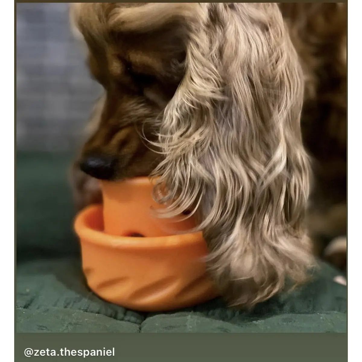 Totally Pooched High - Quality Interactive Treat Puzzle Toy for Canines