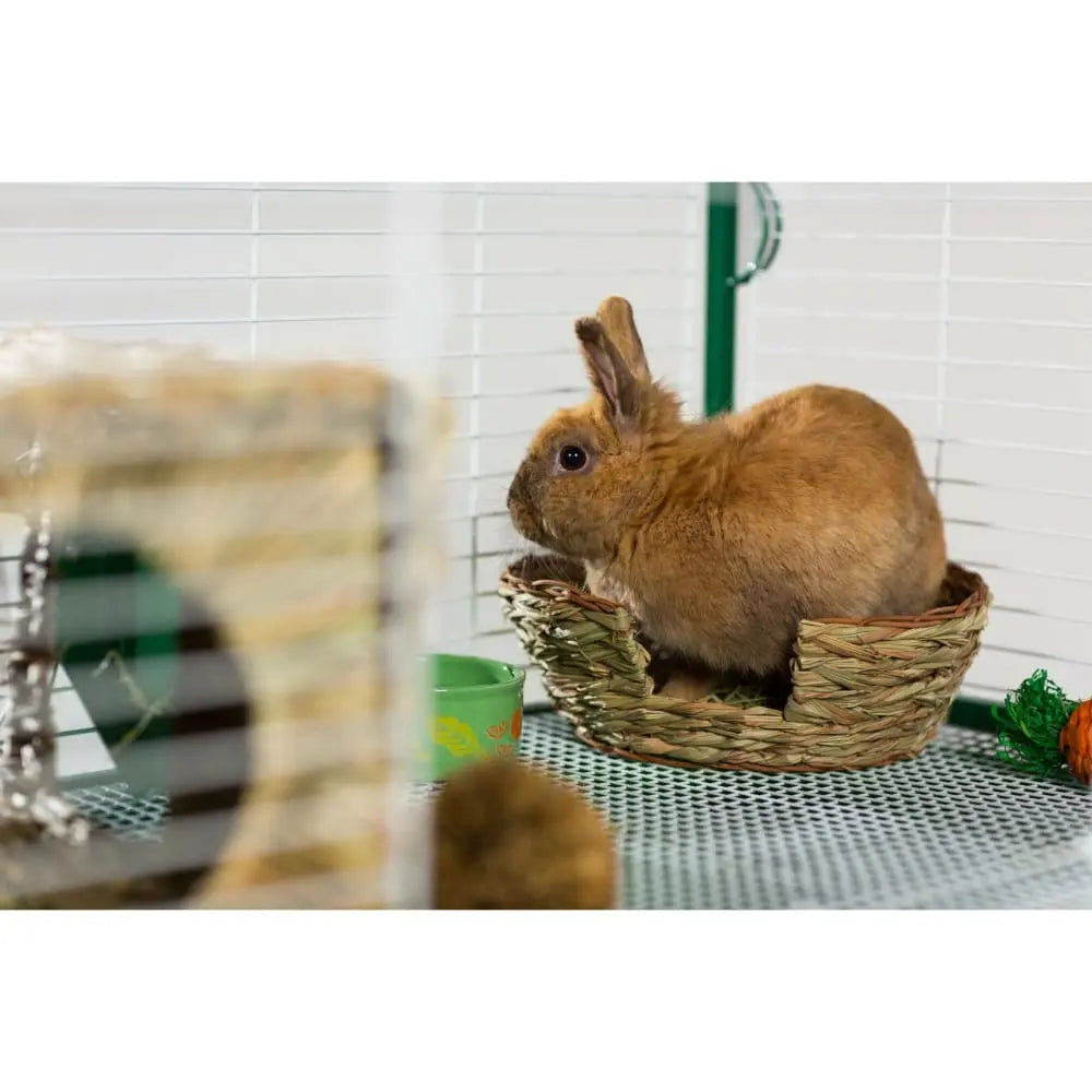 Prevue Pet Products Medium-Sized Oval Hideout Nest for Small Pets