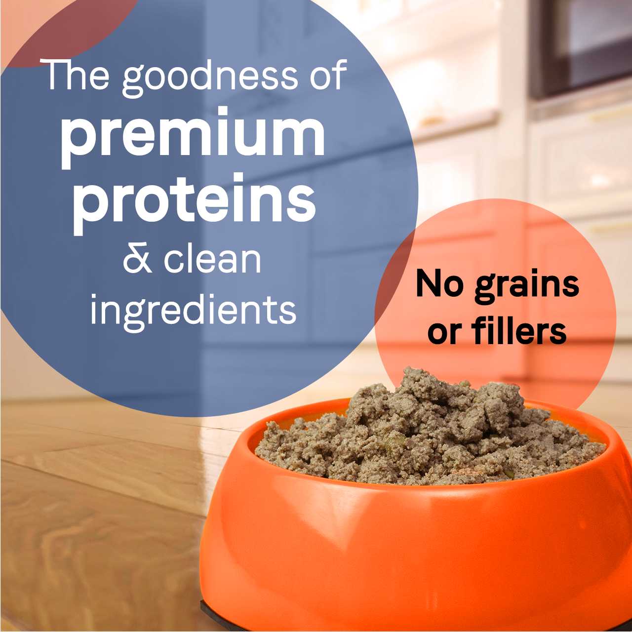 CANIDAE PURE 12-Pack Grain-Free 13 oz Wet Dog Food