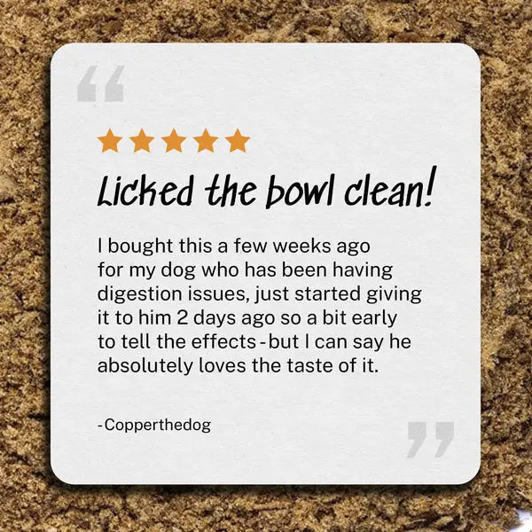 Yummers 8 oz Digestive Aid Elk Supplement Mix for Dog Food Topper