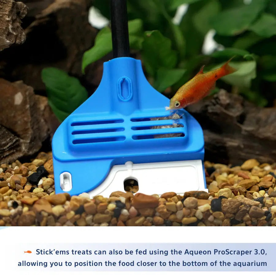 Aqueon Stick'ems Freeze-Dried Treats for Freshwater and Marine Fish - Premium Brine and Mysis Shrimp Fish Food
