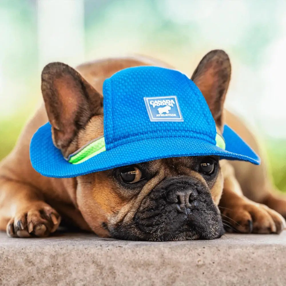 Canada Pooch Premium Cooling Dog Hat - Chill Seeker for Canine Comfort in Summer