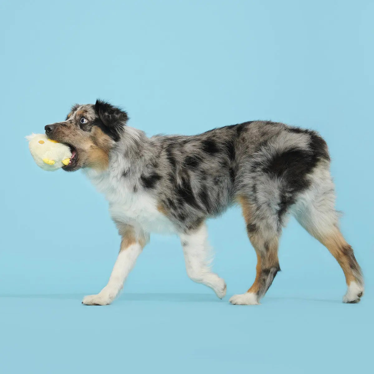 BARK Yellow Small/Medium Tough Chicken Dog Toy for Super Chewers