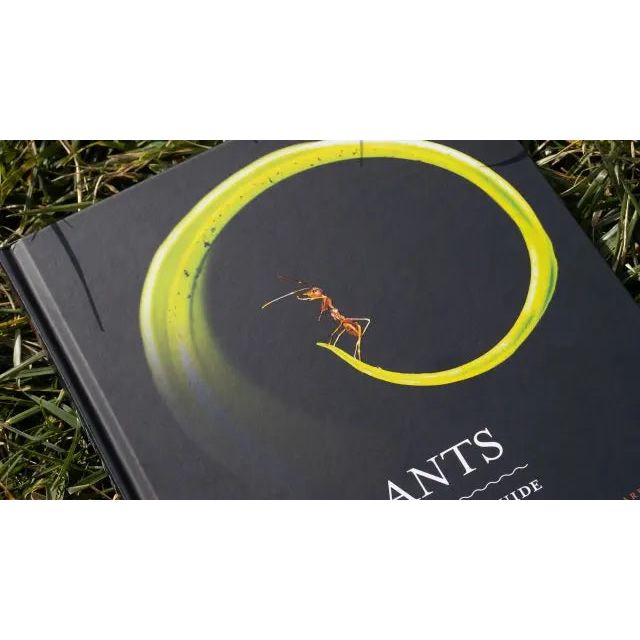 Ants: An In - Depth Visual Guide by Heather Campbell and Benjamin Blanchard