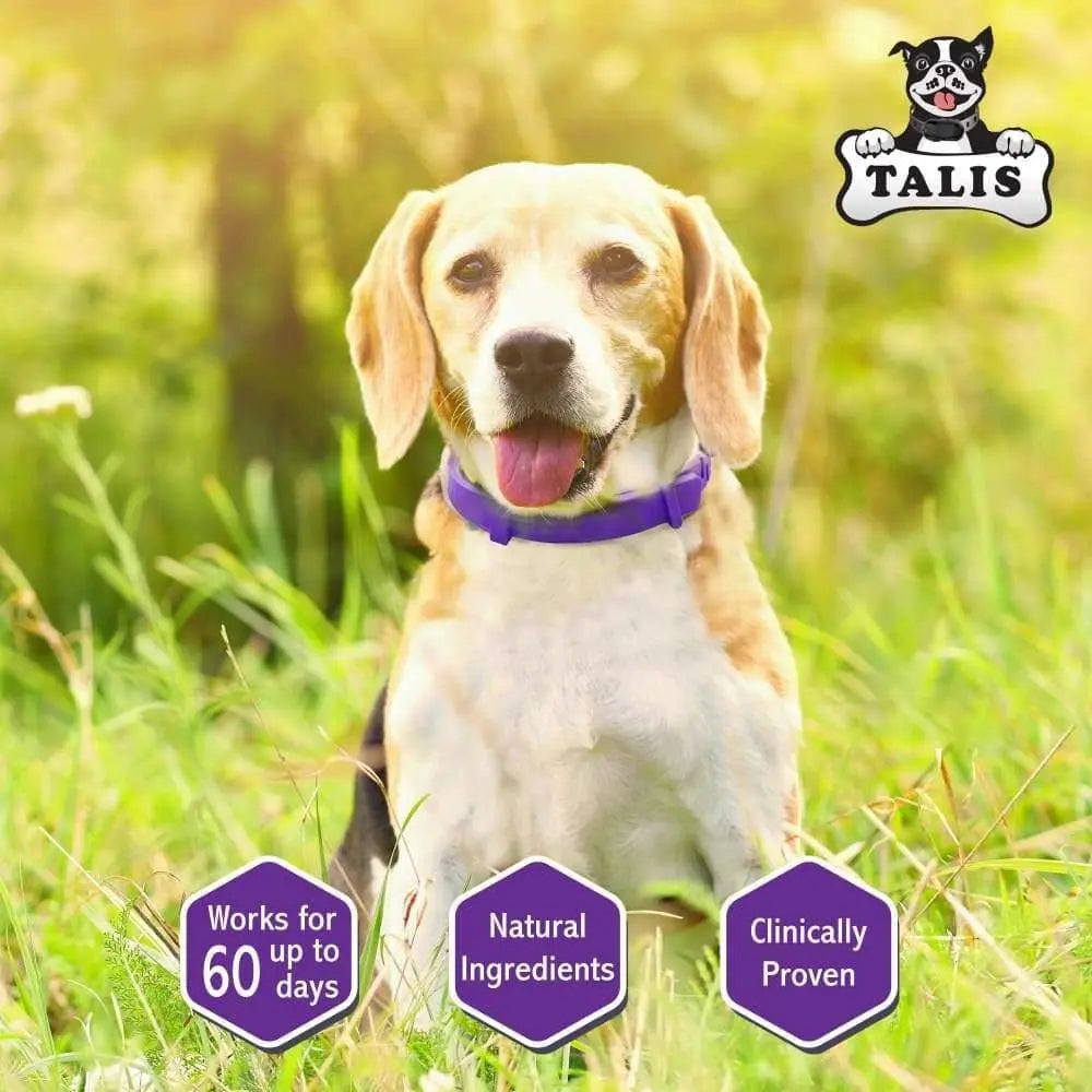 All - Natural Calming Collar for Dogs to Help Your Furry Friend Feel Secure, Happy and Relaxed