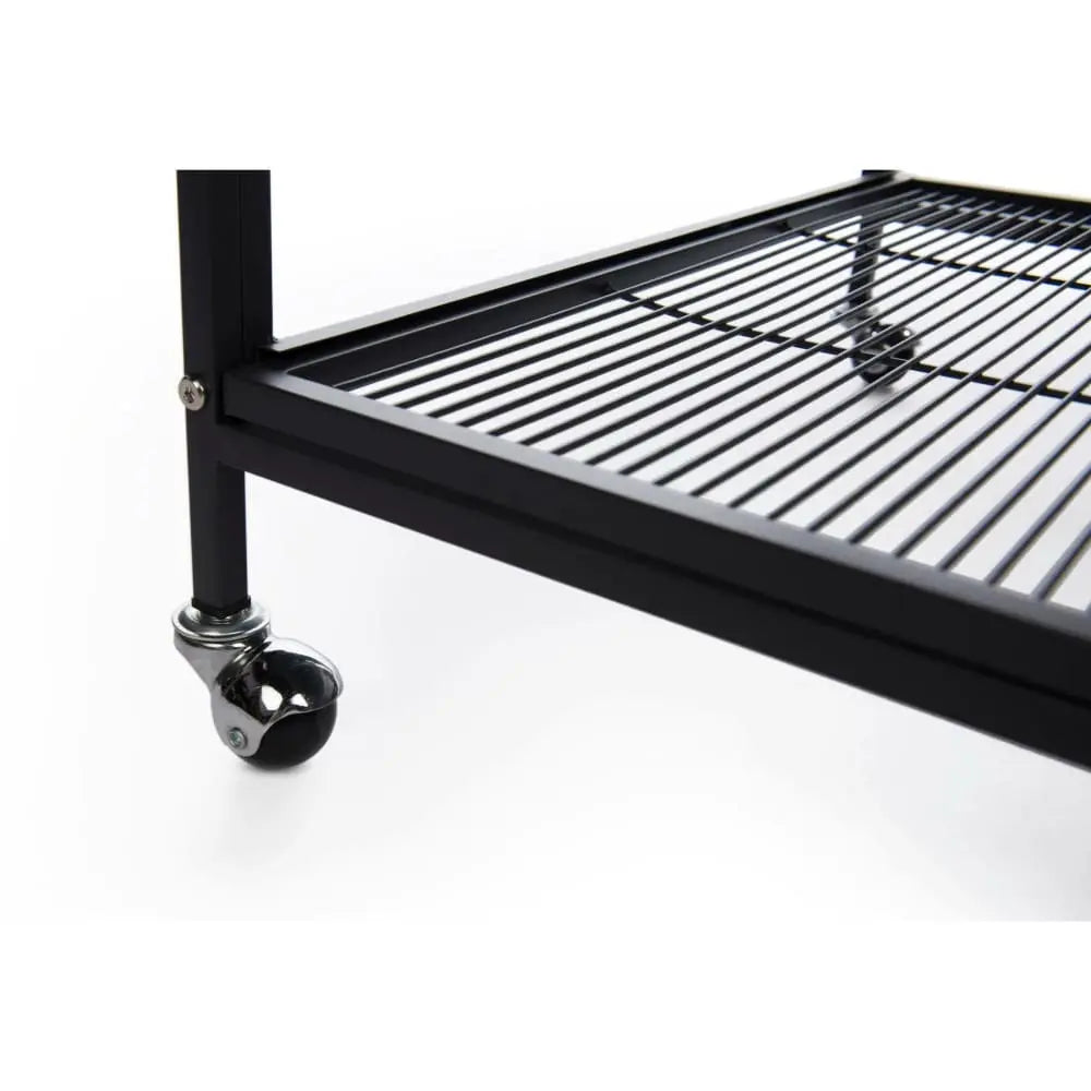 Prevue Pet Products Safe and Spacious Playtop Flight Bird Cage with Stand