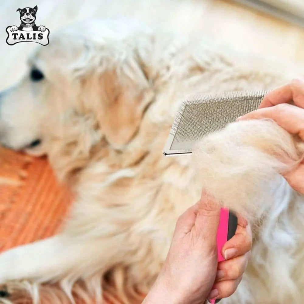 Self-Cleaning Pet Slicker Grooming Brush - An Ideal Tool for Removing Dog and Cat Hair Shedding