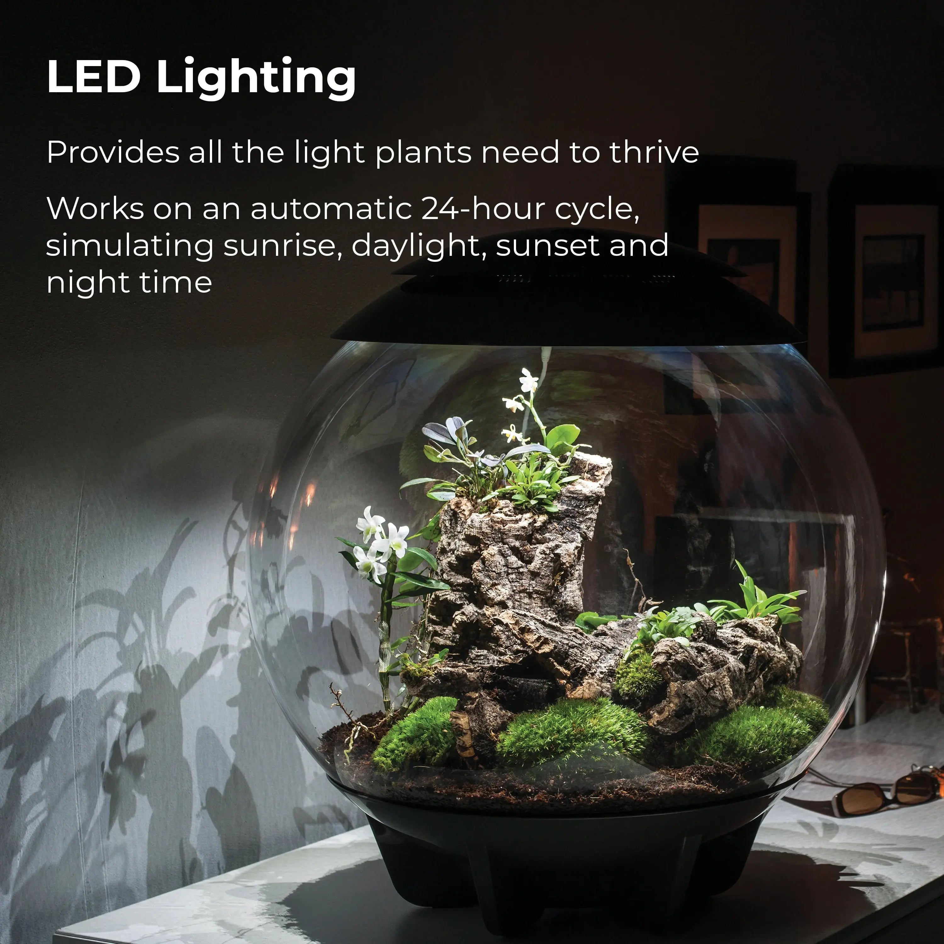 BiOrb AIR 60 Modern Glossy Terrarium for Tropical Plants and Creatures