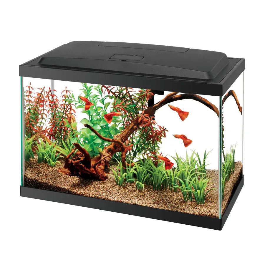 Aqueon 5.5 - gallon Glass Aquarium Starter Kit Featuring Energy - saving LED Lighting for Both Novice and Experienced Fish Keepers