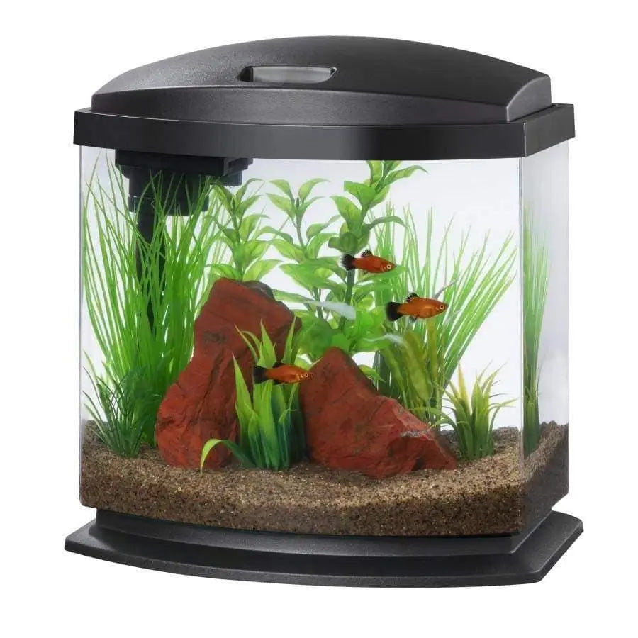Aqueon Brand LED MiniBow™ Desktop Fish Aquarium Kit Featuring SmartClean™ Advanced Water - Changing Technology
