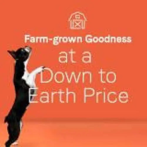 CANIDAE Under The Sun Grain-Free Lamb Flavor Dry Dog Food for Healthy Pets