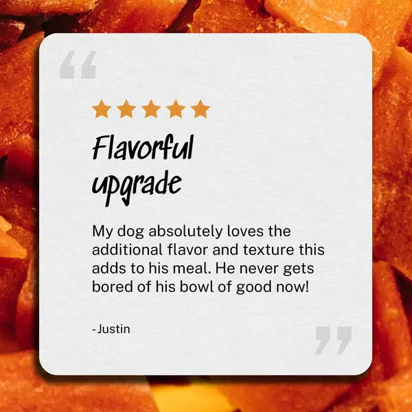 Yummers Premium Gourmet Chicken & Ginger Recipe Meal Mix-in Dog Food Topper, 5 oz Package