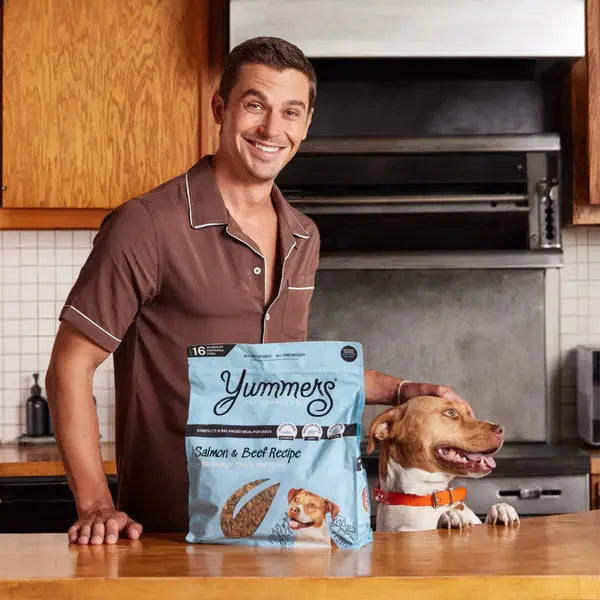 Delicious Yummers Dog Food: Salmon & Beef Recipe Enriched with Freeze - Dried Proteins