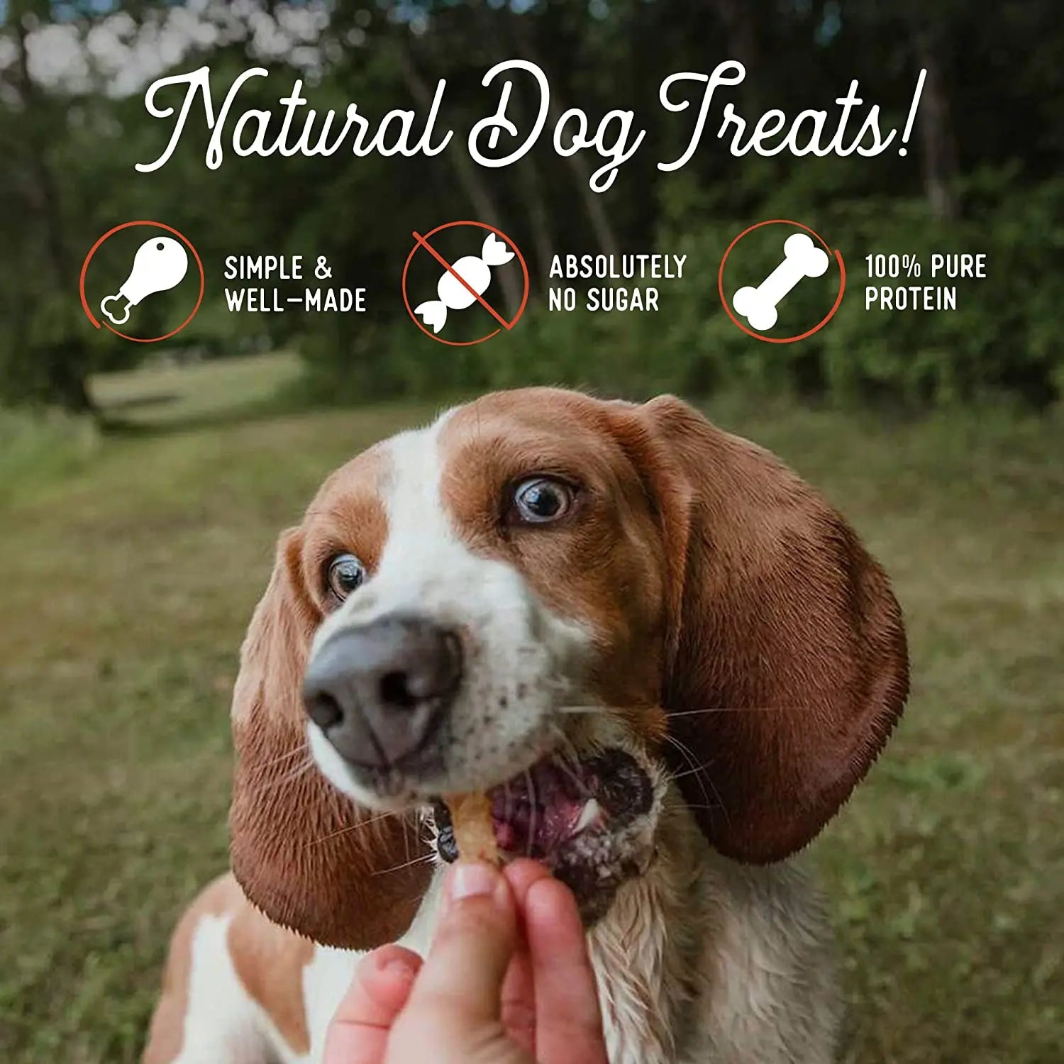 High - Quality Beg & Barker All - Natural Air - Dried Pork Loin Strip Dog Treats