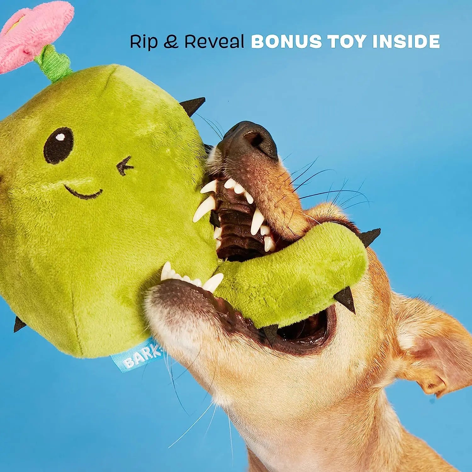 BARK's Fun-Filled Consuela the Cactus Interactive Dog Toy