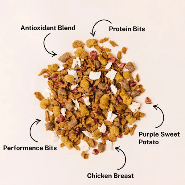 Yummers Premium Freeze - Dried Chicken and Beef Recipe Dog Food for Canine Delight