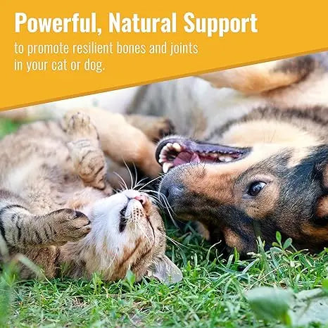 Canine Matrix All - Natural 200g Joint Supplement for Dogs and Cats