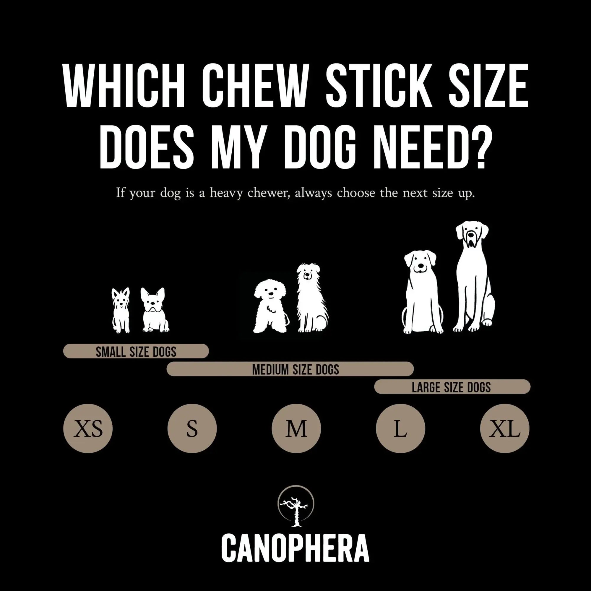 CANOPHERA All - Natural Sheep Horn Chew Toy for Dogs