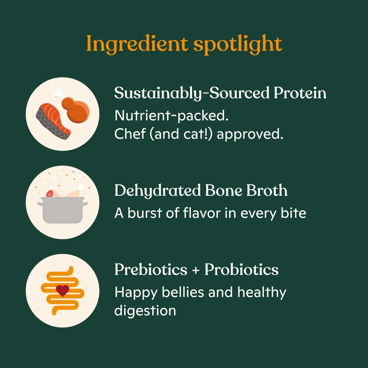 Nacho's High - Quality Cage - Free Chicken, Chicken Liver & Bone Broth Recipe Dry Cat Food Specially Designed for Kittens