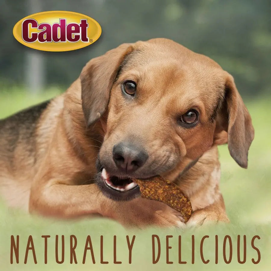 Cadet Premium Gourmet Duck Jerky Dog Treats - High - Quality Canine Snack