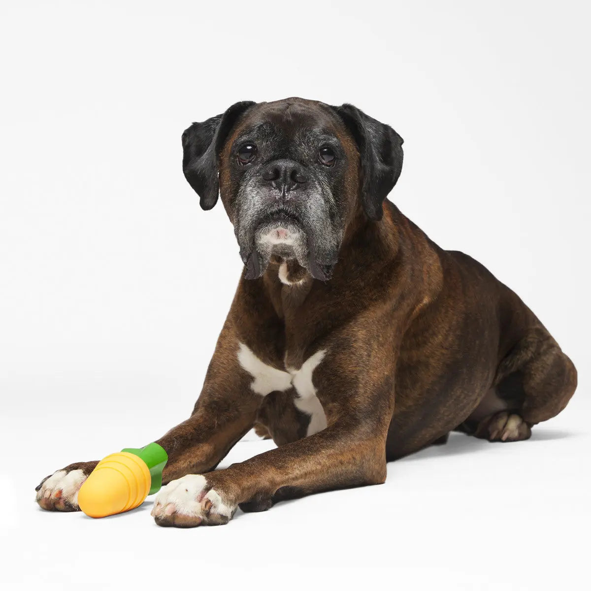 BARK Durable Nylon Carrot - Shaped Stick Chew Toys for Dogs of All Breeds