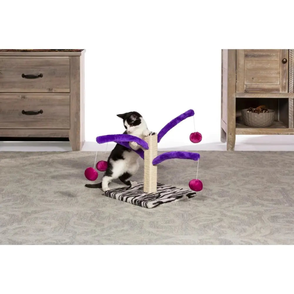Prevue Pet Products Interactive Bounce and Spring Cat Scratcher Toy
