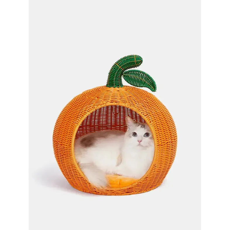Vibrant Vetreska Tangerine Handcrafted PE Rattan Pet Bed with Washable Cushion