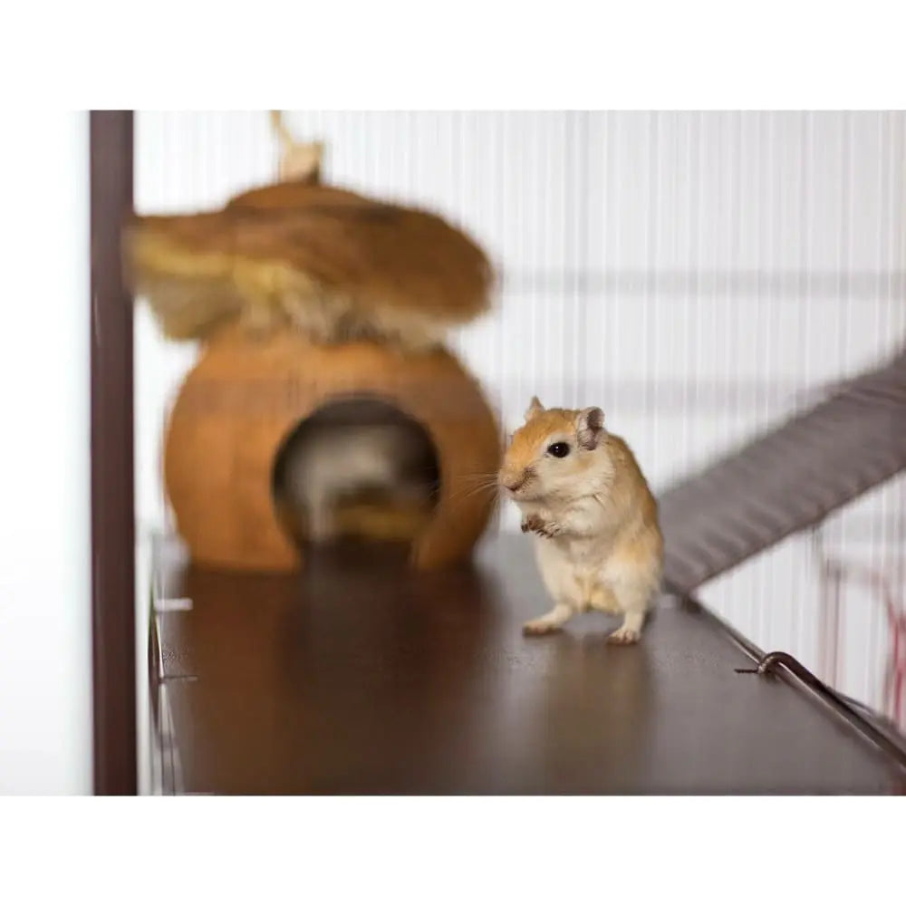 Prevue Pet Naturals Handmade Small Animal Hideout Toy