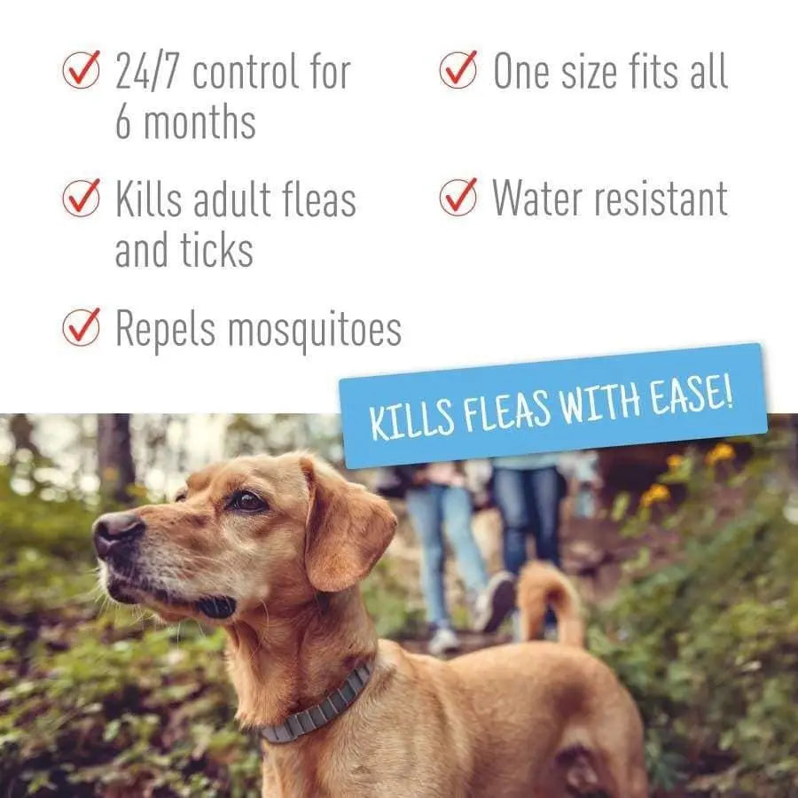 Adams 2-Pack Water-Resistant Flea, Tick & Mosquito Collar for Dogs and Puppies
