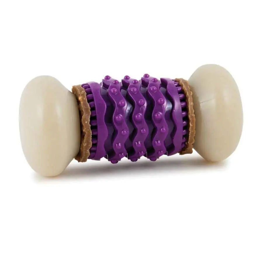 Busy Buddy Purple and White Nobbly Nubbly Durable Dog Chew Toy