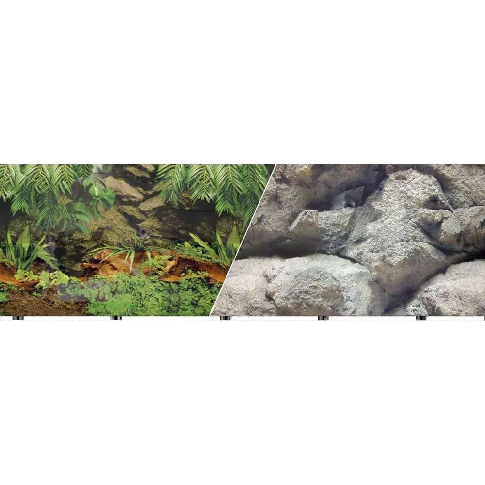 Double-sided Rainforest-boulders Background for Decorative Purposes