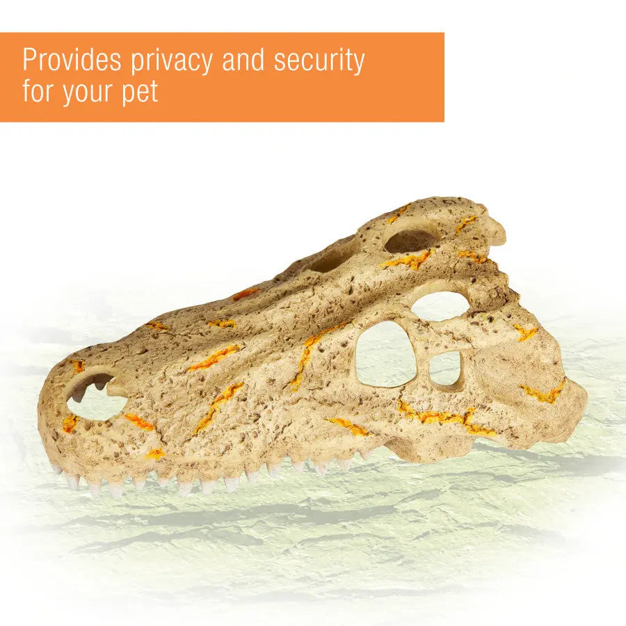 Zilla Decorative Crocodile Skull Rapid Sense Reptile Supply for Optimal UV Detection