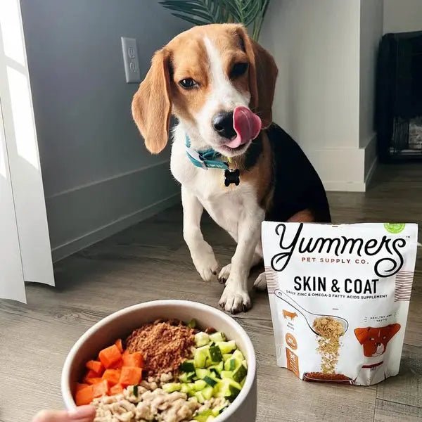 Yummers 8 oz. Beef Dog Food Topper: Skin & Coat Aid Supplement