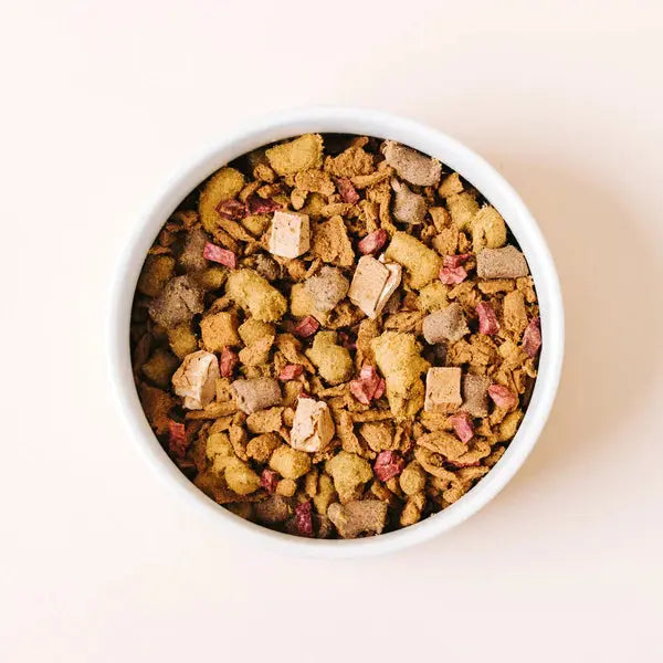 Delicious Yummers Dog Food: Salmon & Lamb Recipe with Freeze - Dried Proteins