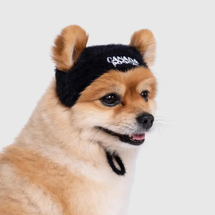 Canada Pooch Pawparazzi Fashionable Faux - Fur Dog Beanie with Drawcord