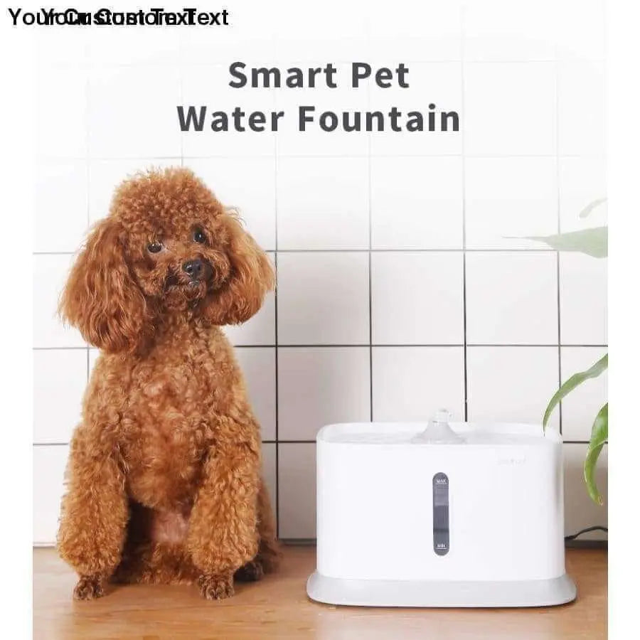 Automatic Electric Pet Water Dispenser and Feeder for Dogs and Cats