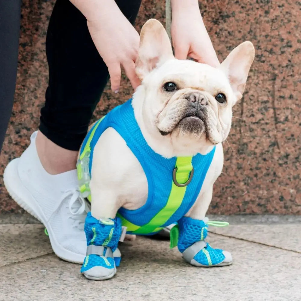 Canada Pooch High - Quality Dog Boots for Protection Against Hot Pavements