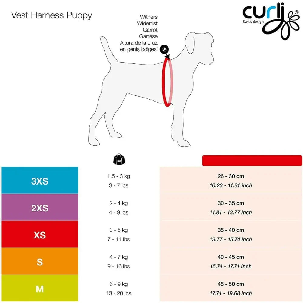 Lightweight Air-Mesh Vest Harness with Matching Leash for Small Puppies