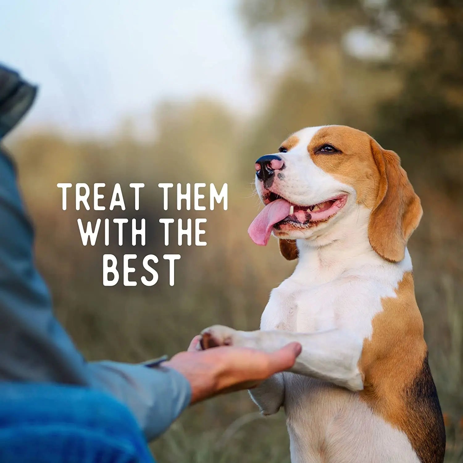 Beg & Barker All - Natural Air - Dried Whole Turkey Gizzard Chips Dog Treats