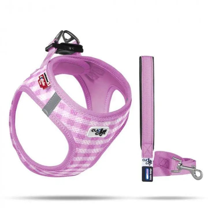 Lightweight Air-Mesh Vest Harness with Matching Leash for Small Puppies