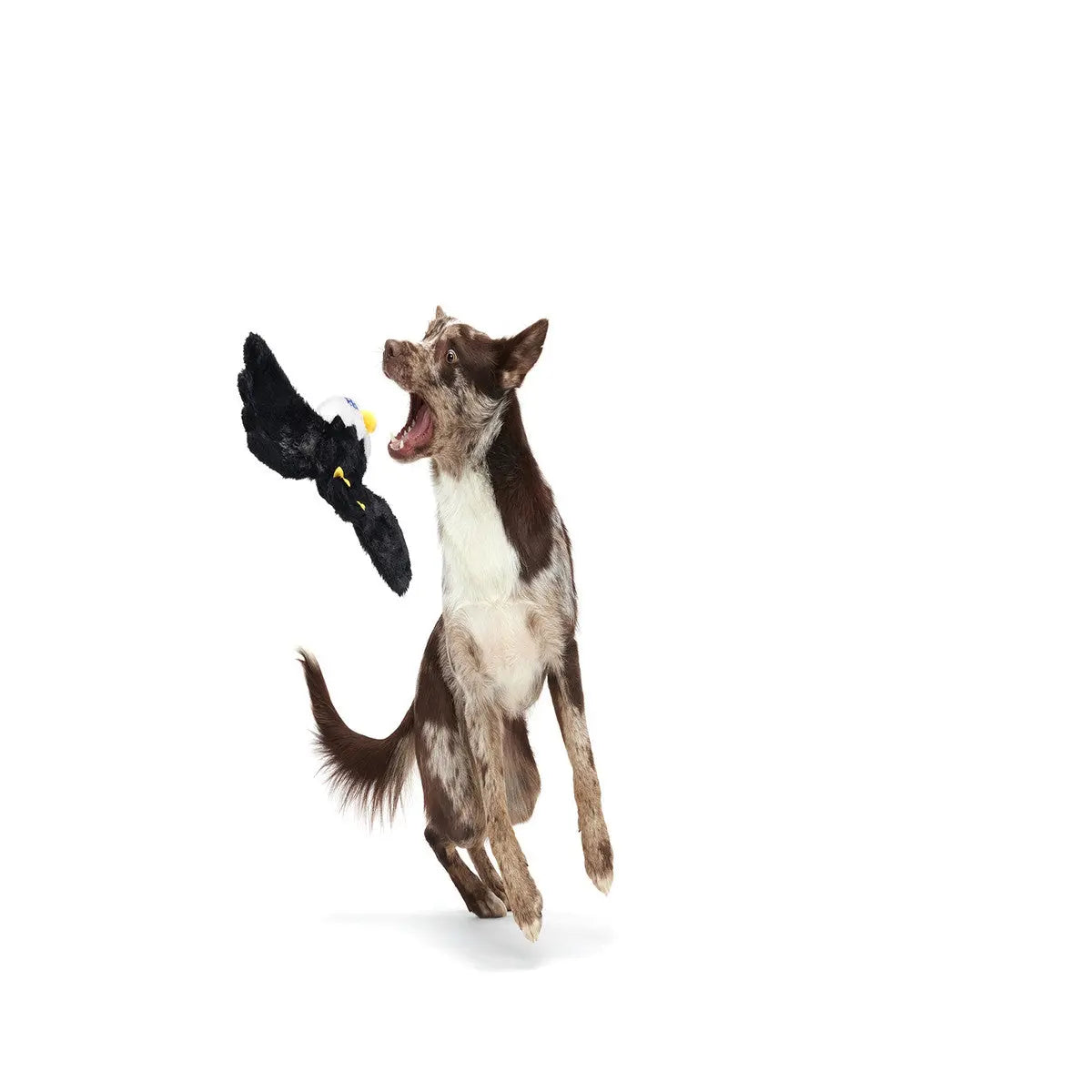 BARK Bold Eagle American Independence Day Fourth Of July Plush Dog Toy for Patriotic Pooches
