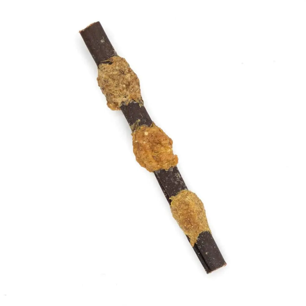 Barkworthies 6-Inch Collagen Beef Stick Kabobs - Bulk Pack (Case of 35 Sticks) for Dogs