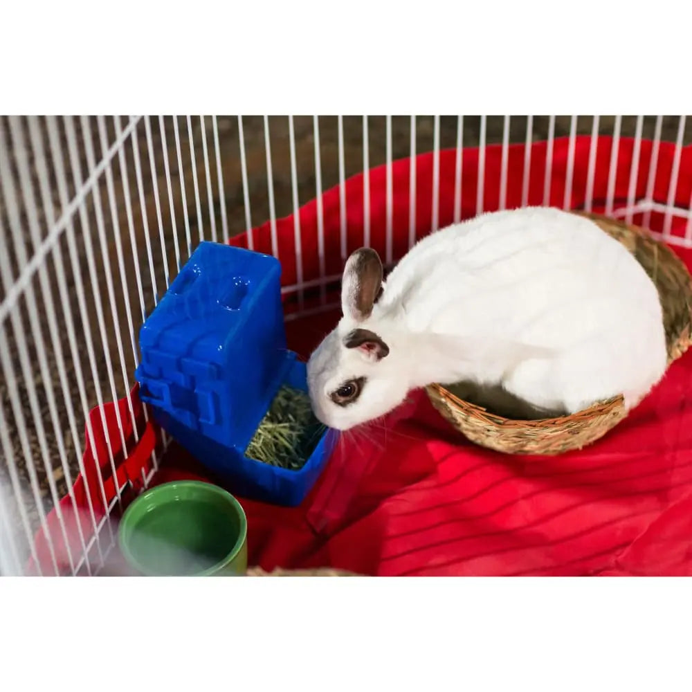 Prevue Pet Products White Indoor/Outdoor Playpen for Ferrets, Rabbits & Guinea Pigs