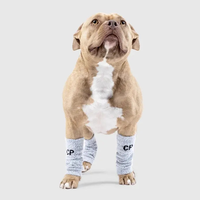 Canada Pooch Fashionable Knit Dog Leg Warmers - Snowy Fox Style for Winter Coziness