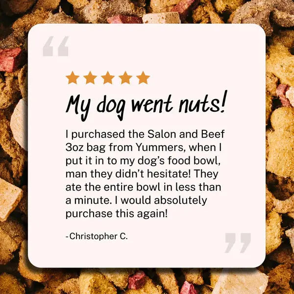 Delicious Yummers Dog Food: Salmon & Beef Recipe Enriched with Freeze - Dried Proteins
