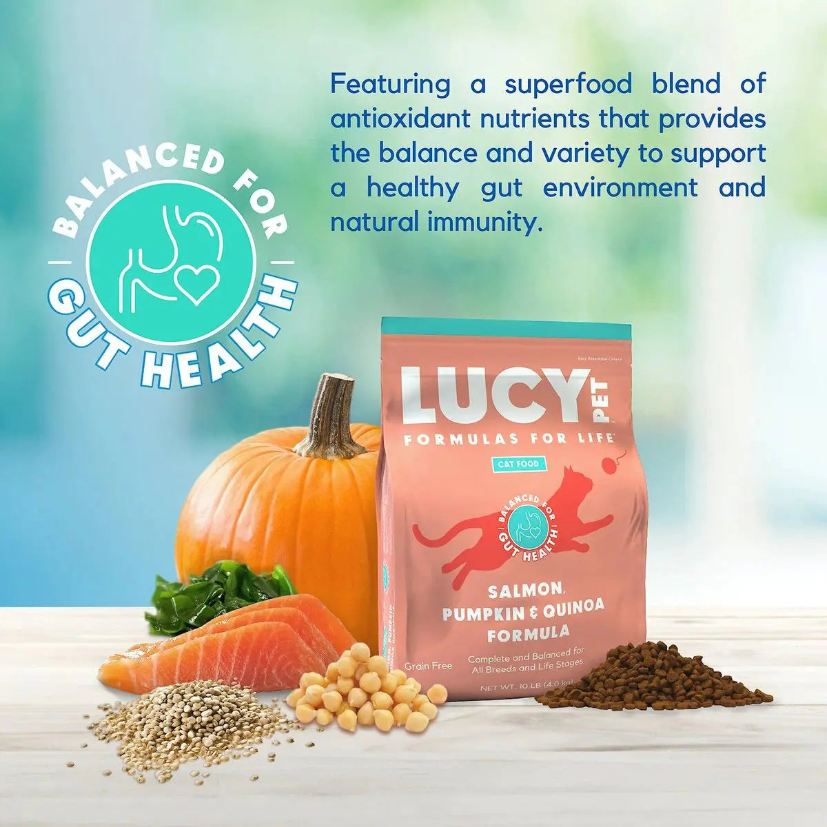 Lucy Pet Products Formulas for Life Premium Dry Cat Food with Wild Alaskan Salmon, Nutritious Pumpkin & High - Quality Quinoa