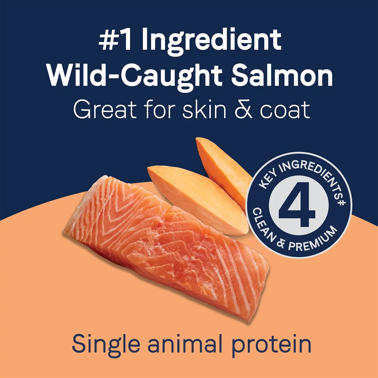 CANIDAE Pure Grain - Free Dog Treats: 4 oz Salmon Jerky with Sweet Potato for Canine Delight