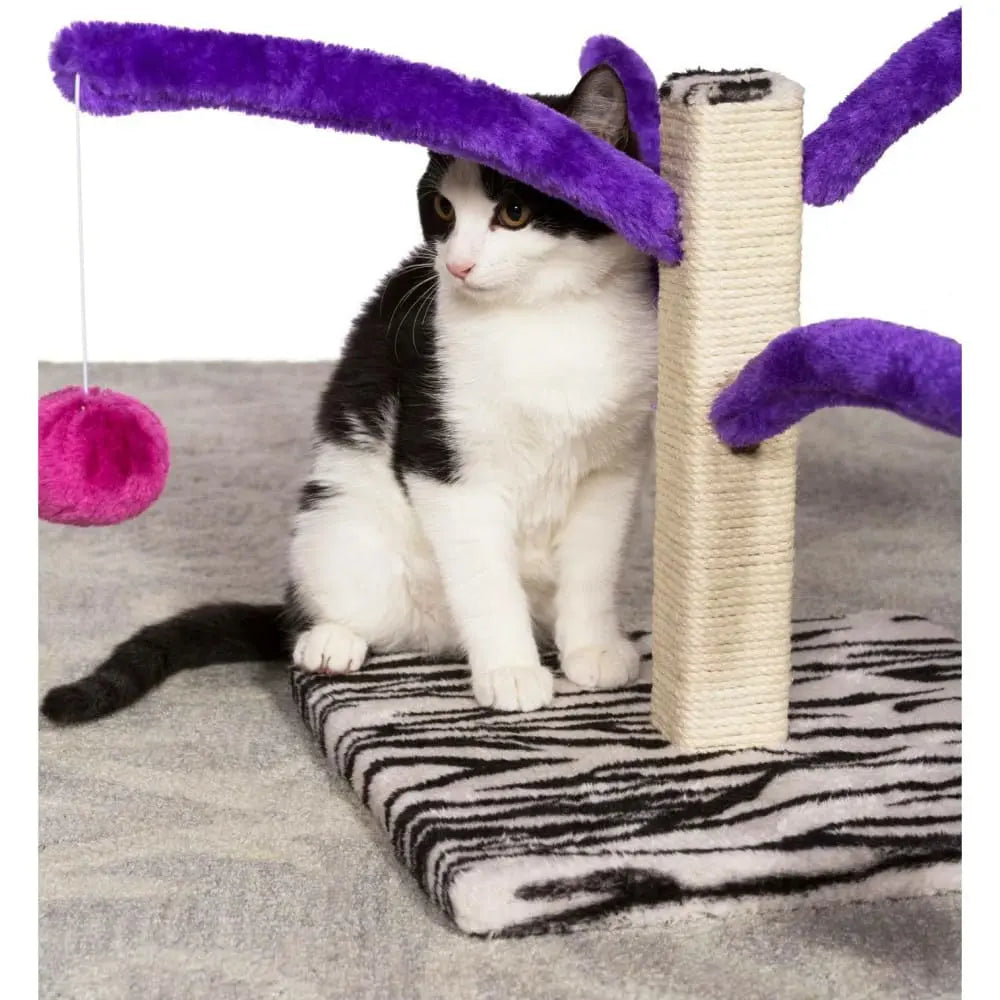 Prevue Pet Products Interactive Bounce and Spring Cat Scratcher Toy