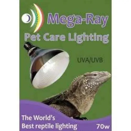 High - Performance Self - Ballasted Mega - Ray Mercury Vapor Flood UVB Lamp for Reptile Pet Care